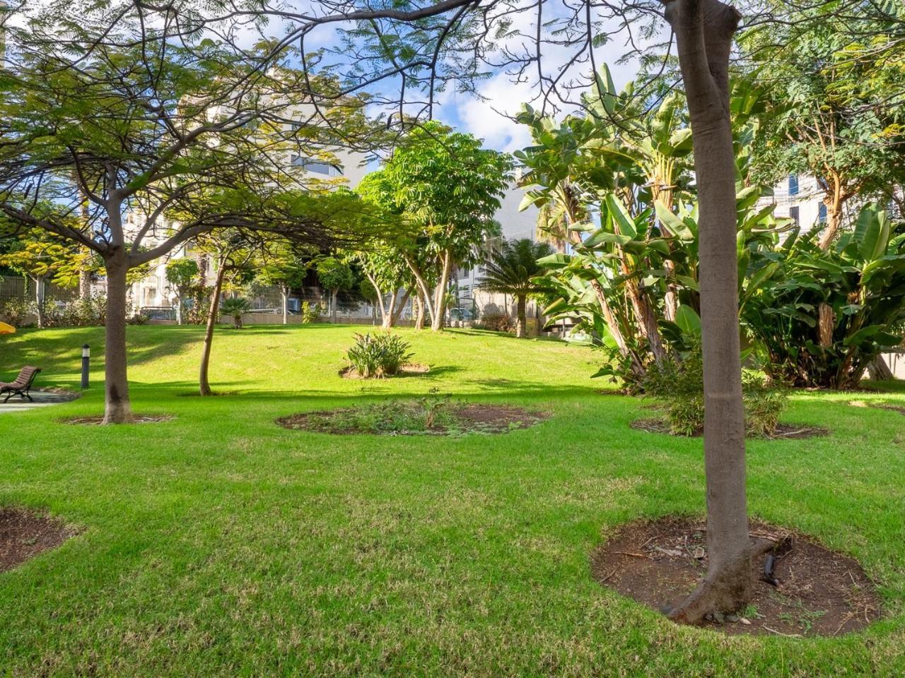 Apartment Abora Garden With Terrace, Pool, Extensive Gardens And Free Parking Las Palmas de Gran Canaria Eksteriør bilde